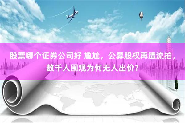 股票哪个证券公司好 尴尬，公募股权再遭流拍，数千人围观为何无人出价？